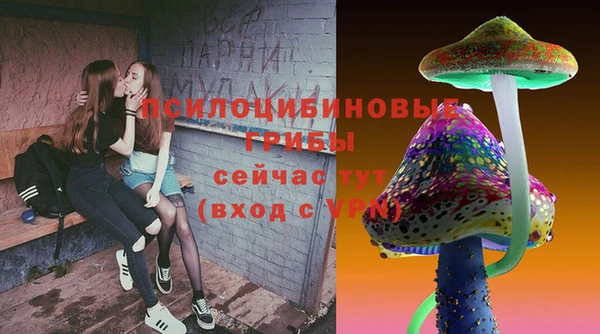 mdpv Лабытнанги