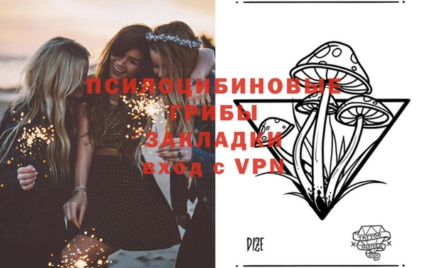 герыч Лагань